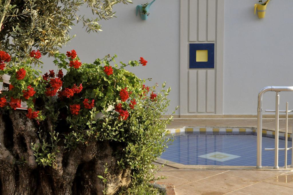 Hotel Magic Tulip Oludeniz